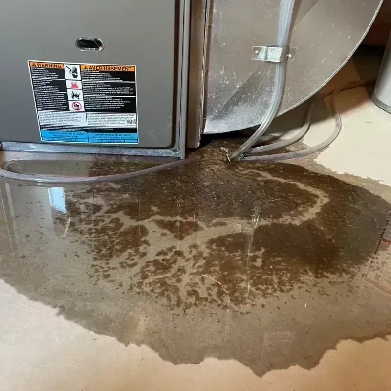 Appliance Leak Cleanup in Stockton, MO